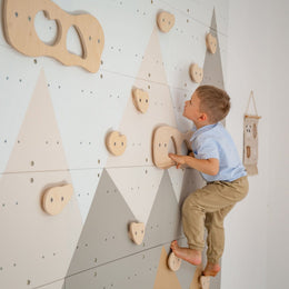 Climbing Toys