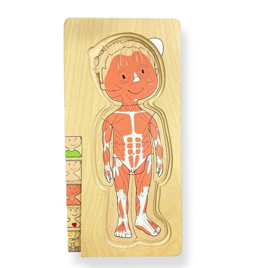Beleduc Nesting Wood Puzzle: Your Body Boy Puzzles