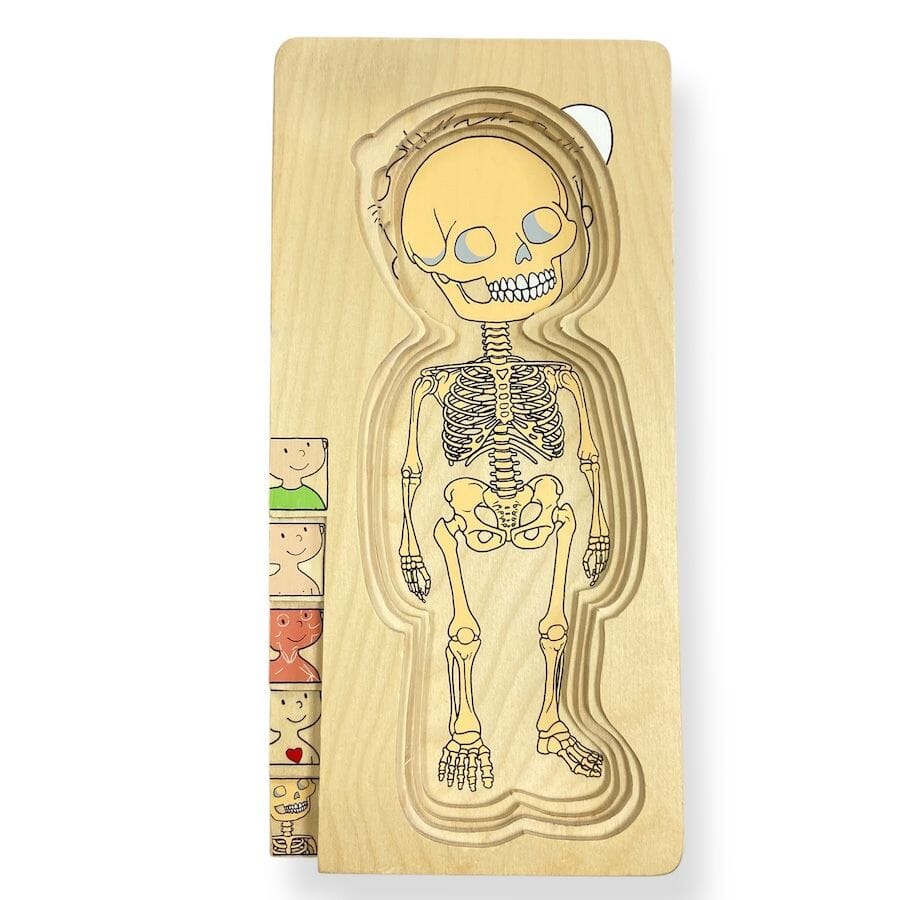 Beleduc Nesting Wood Puzzle: Your Body Boy Puzzles
