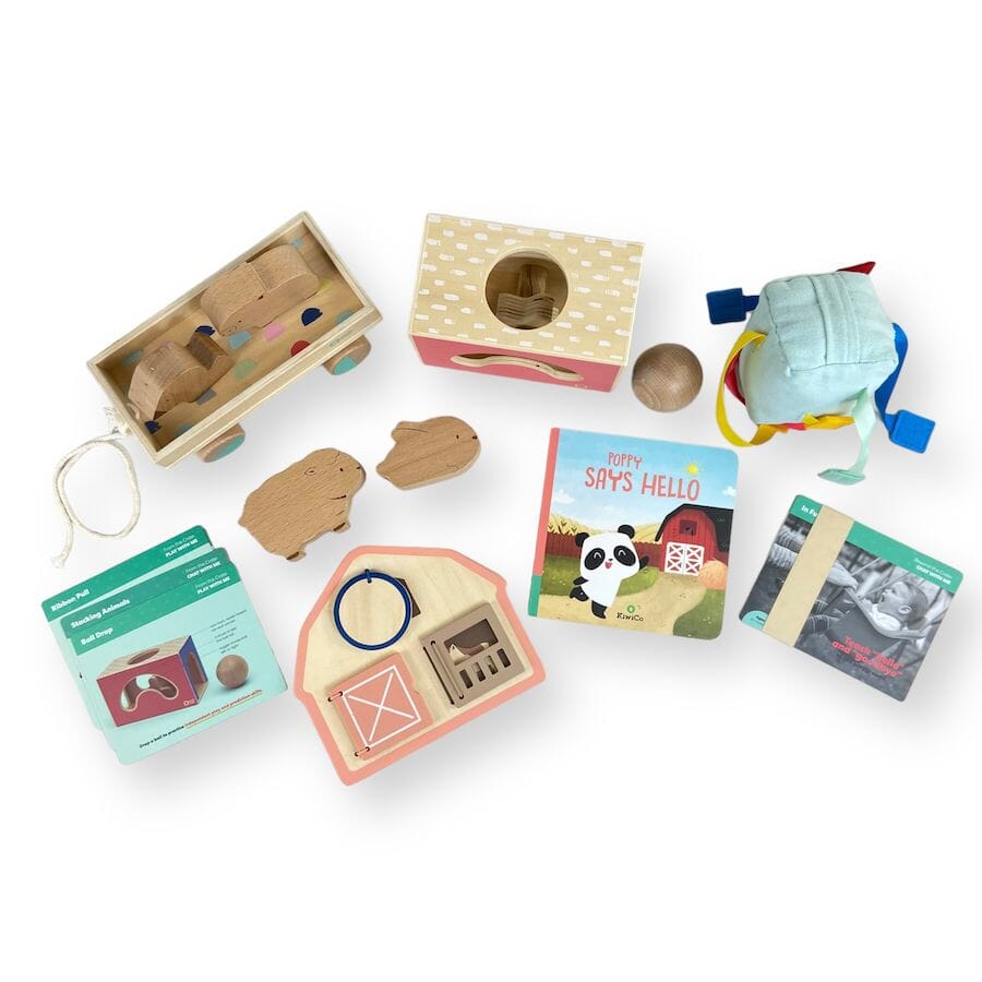 KiwiCo Panda Crate Chat With Me Toys