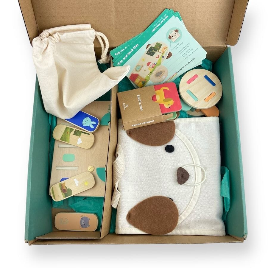 KiwiCo Panda Crate Discover with Me Toys