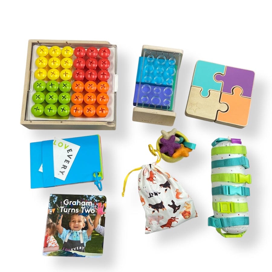 Lovevery The Companion Play Kit