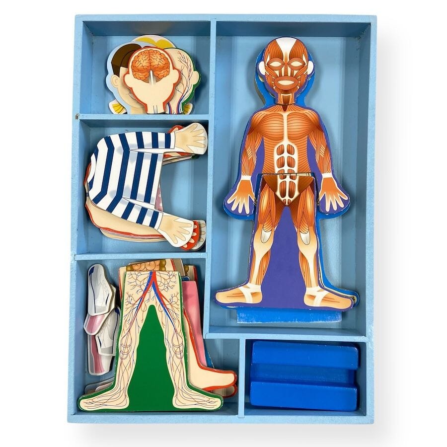 Melissa & Doug Body & Pattern Blocks Bundle Toys