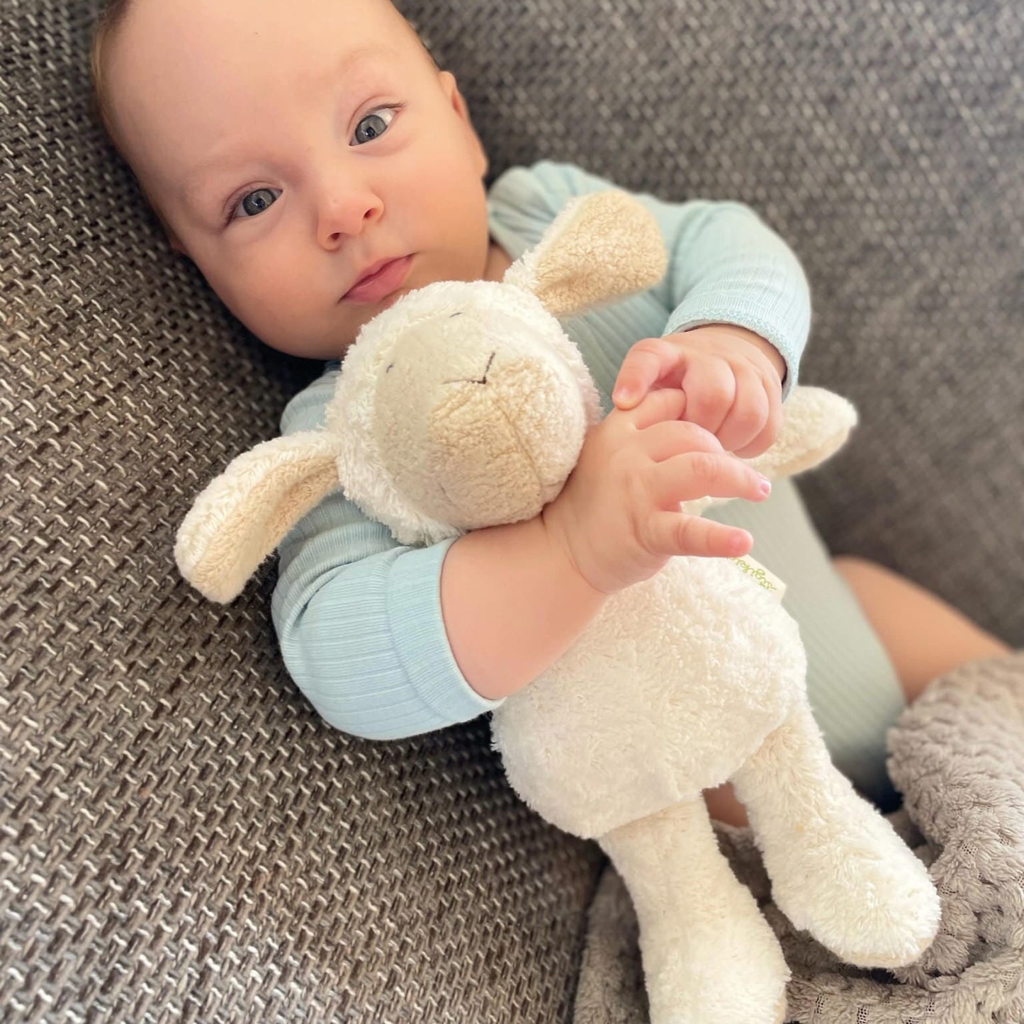 Organic Sheep Plush Toy Organic Toys