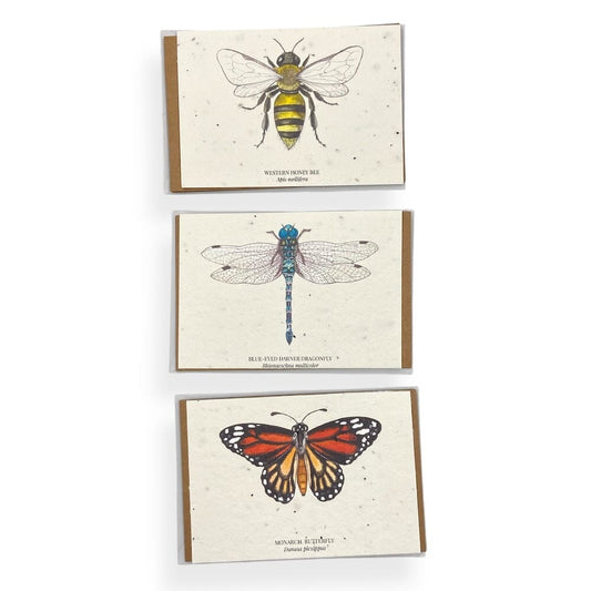 HummyBee - Plantable Wildflower Seed Card Bundle