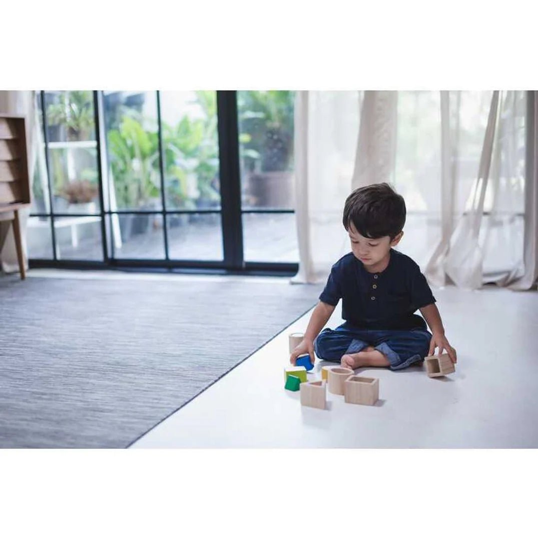 PlanToys - PlanToys Geo Matching Blocks