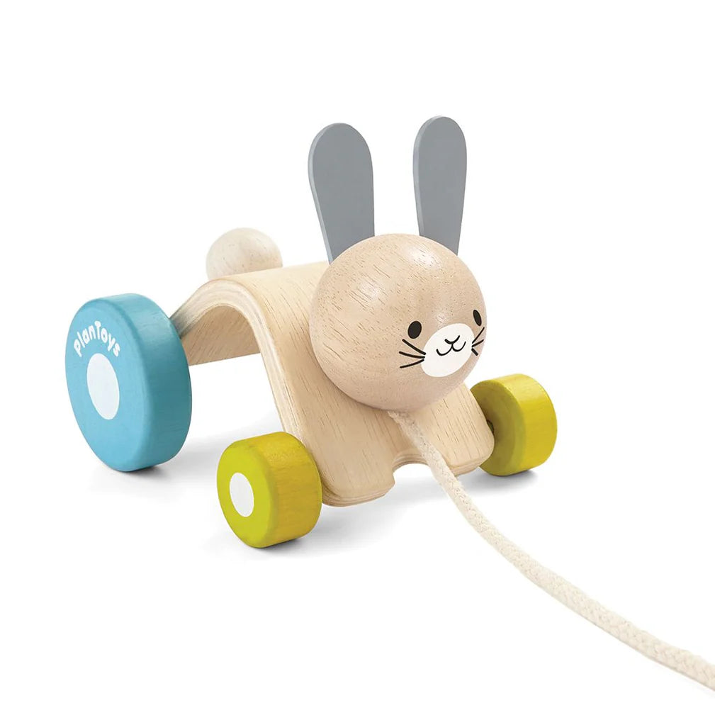 PlanToys Hopping Rabbit Push & Pull Toys