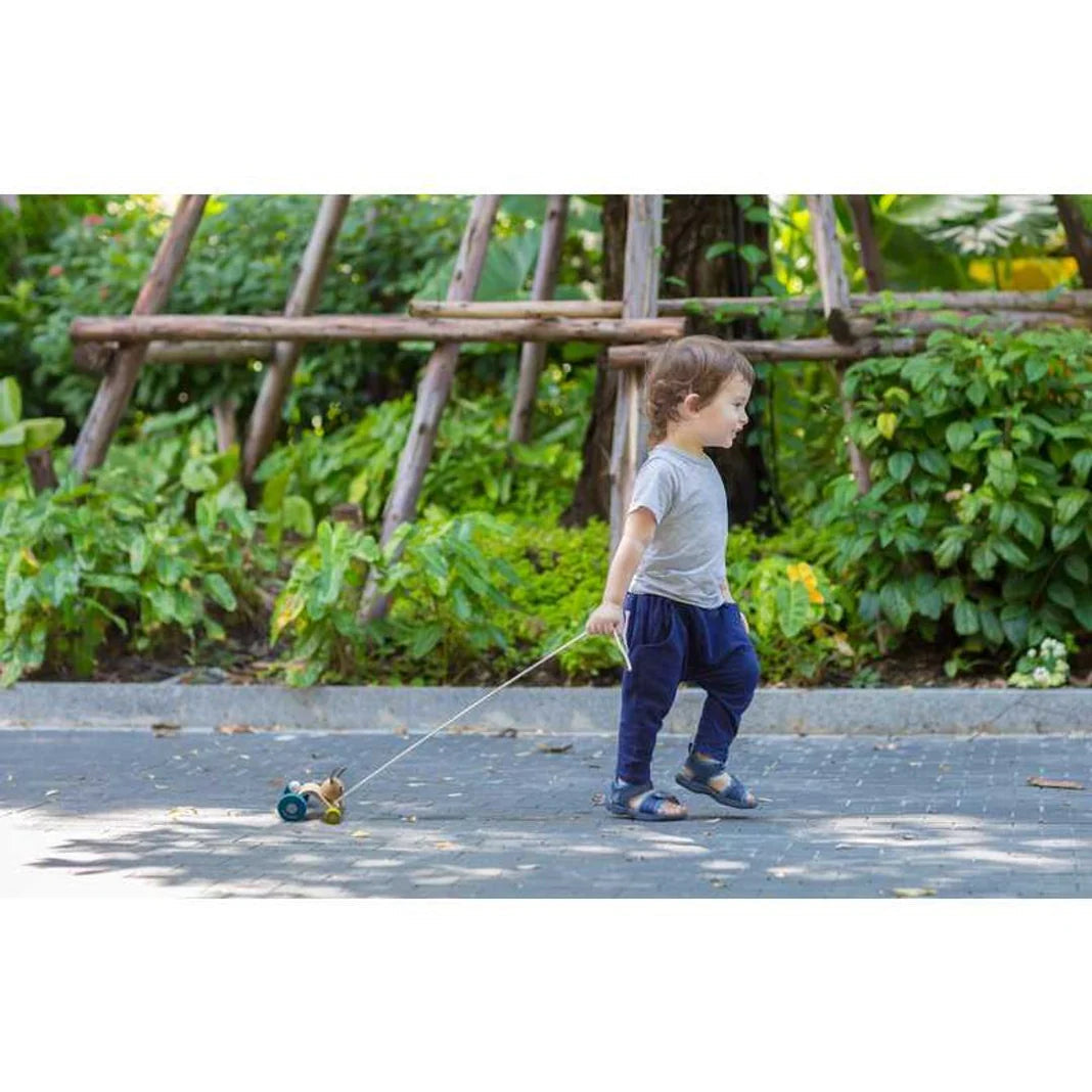 PlanToys Hopping Rabbit Push & Pull Toys