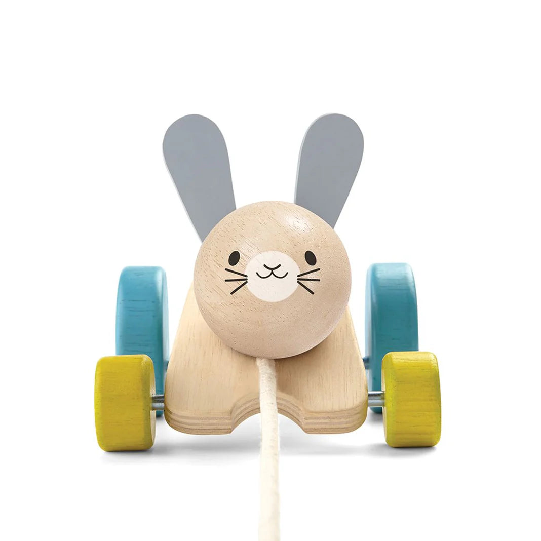 PlanToys Hopping Rabbit Push & Pull Toys