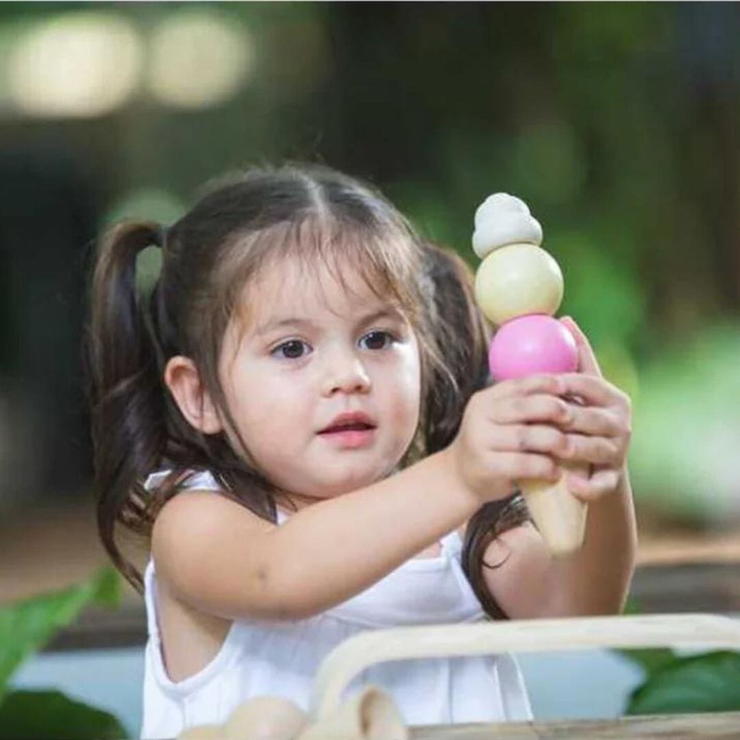 PlanToys Ice Cream Set Toys
