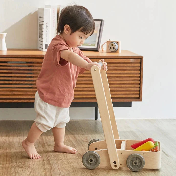 PlanToys Musical Bird Walker Toys