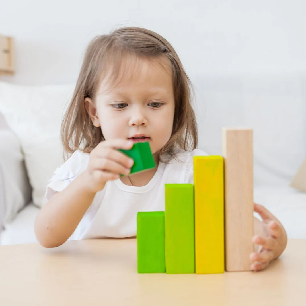 PlanToys Ordering Blocks Toys