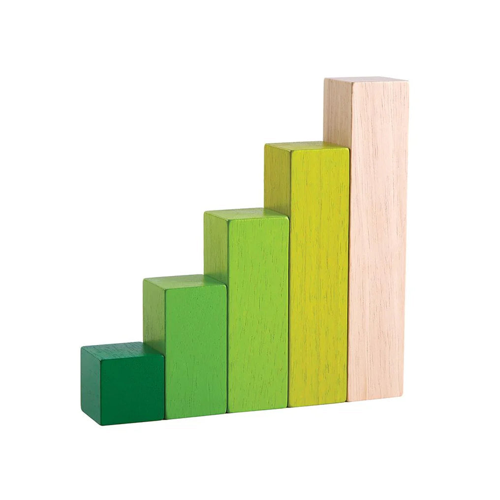 PlanToys Ordering Blocks Toys