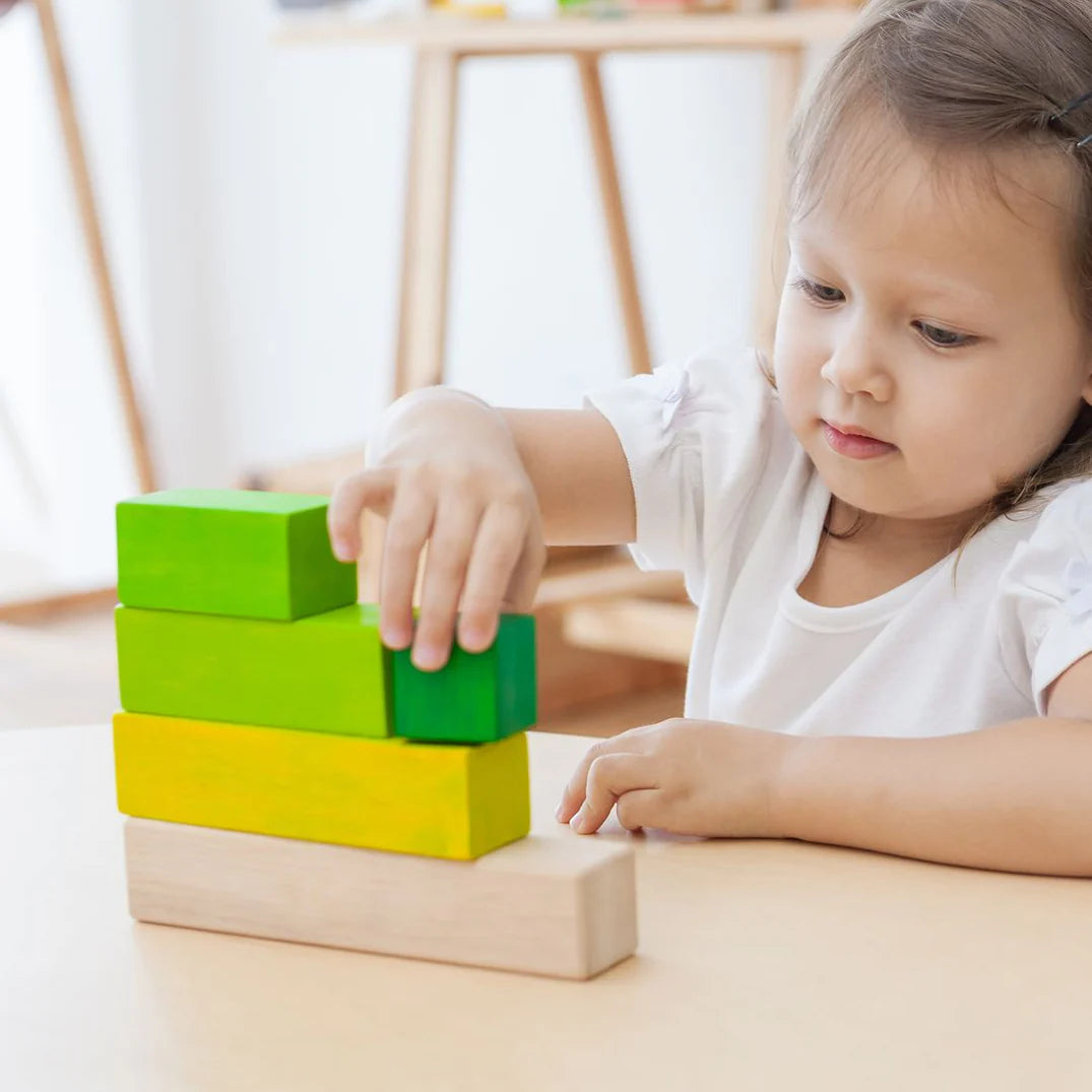 PlanToys Ordering Blocks Toys