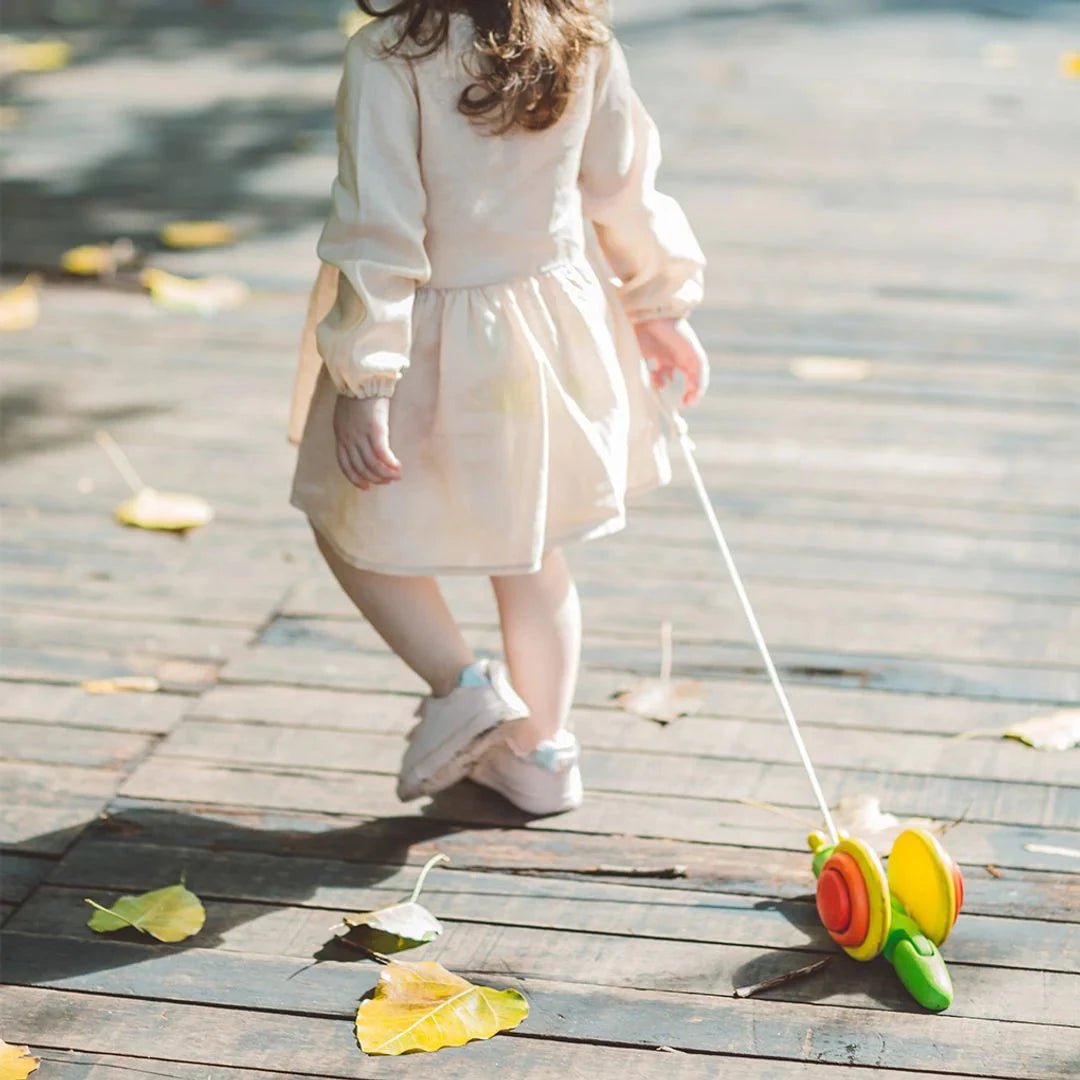 PlanToys - PlanToys Pull Along Snail