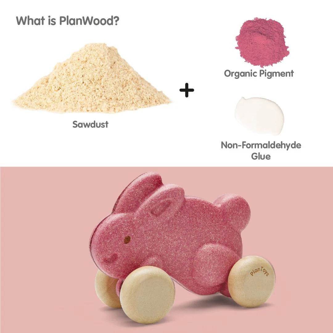 PlanToys Push Along Bunny Toys