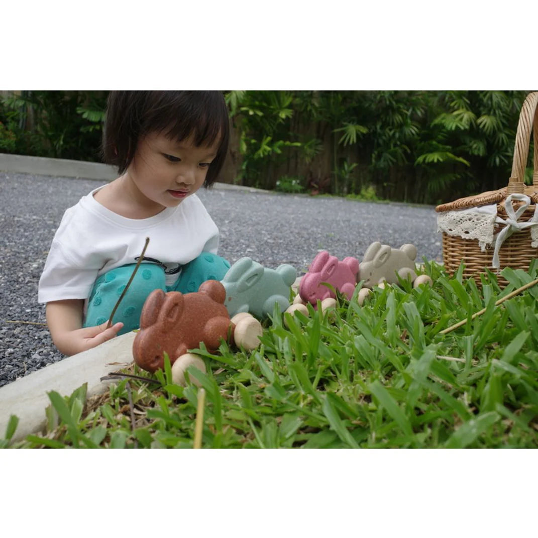 PlanToys Push Along Bunny Toys