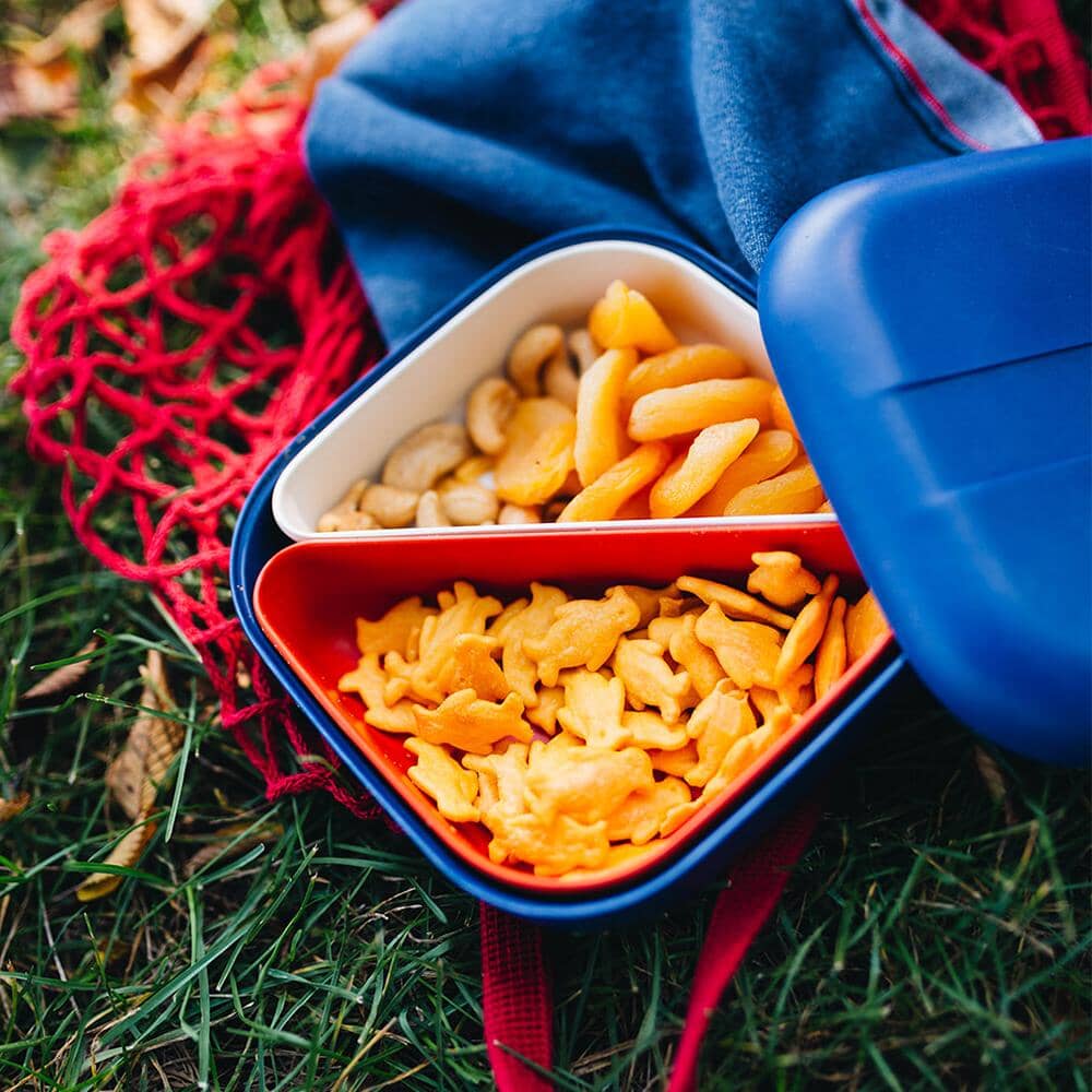 Square Bento Lunch Box - Royal Blue bento