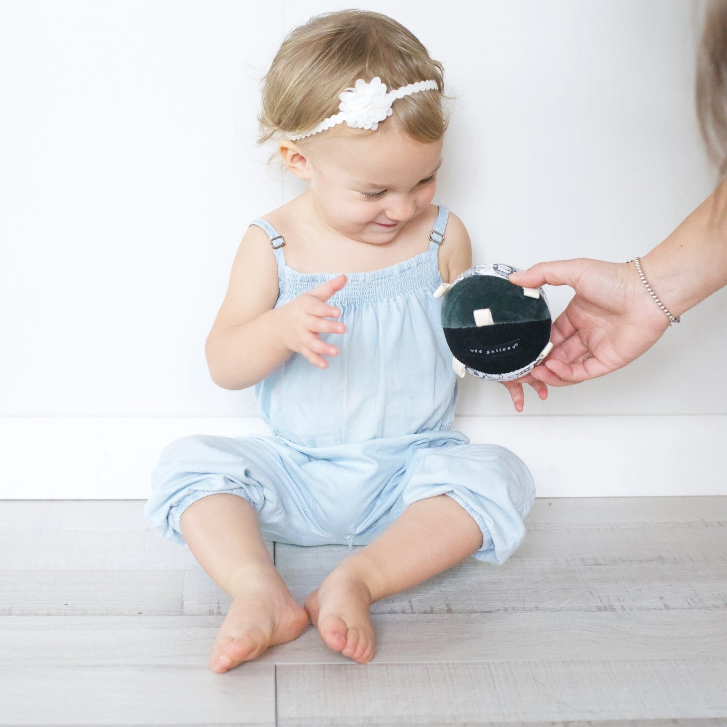 Taggy Ball with Rattle - Wild Toys