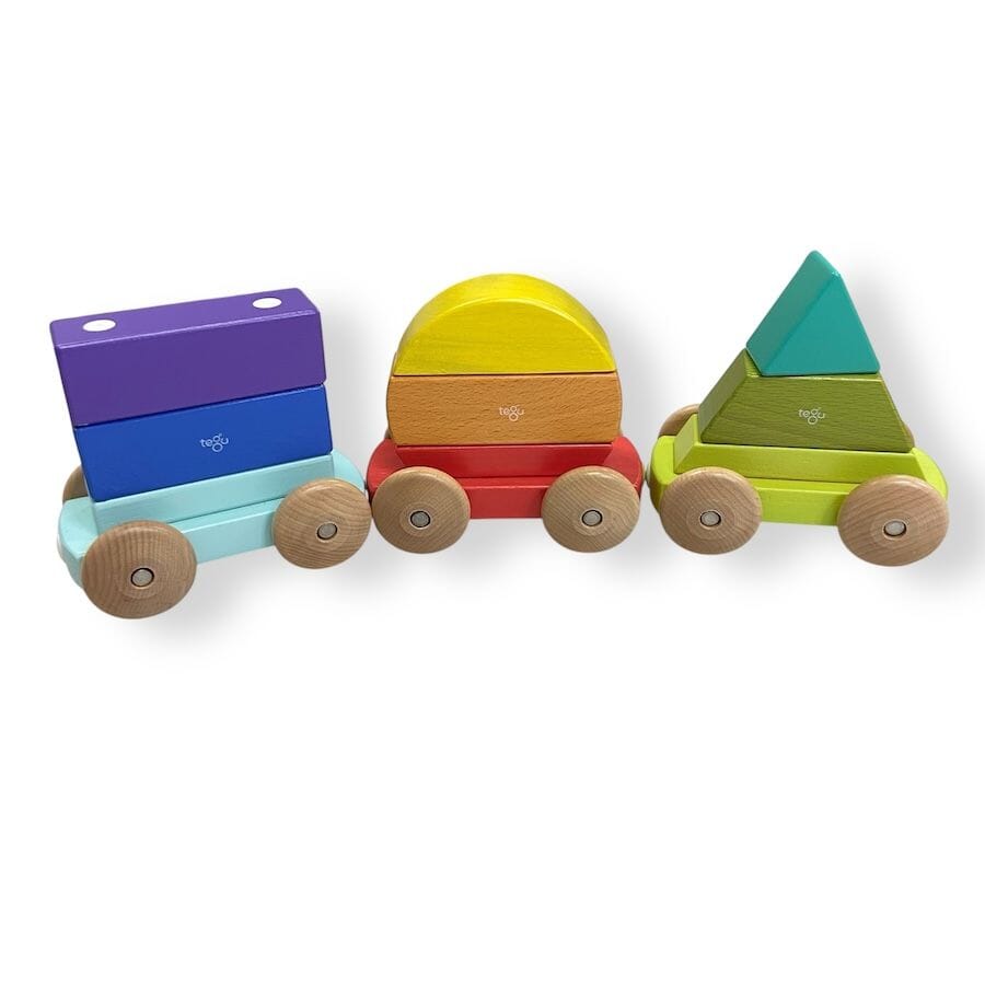 Tegu Magnetic Shape Train Toys