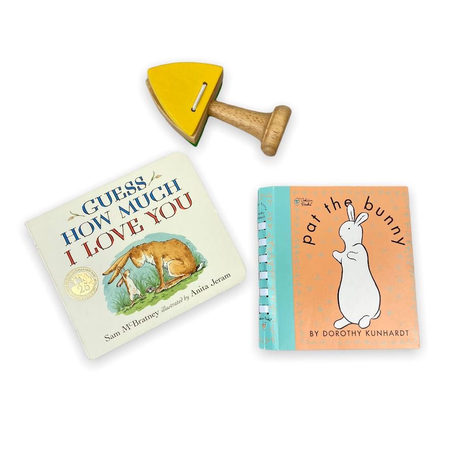 TOYCYCLE - Infant Board Books & Rattle