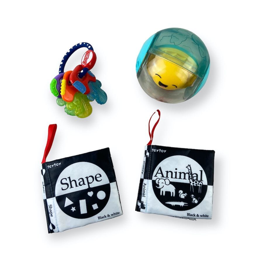 Fisher - Price - Infant Toy Bundle with Sensory Books