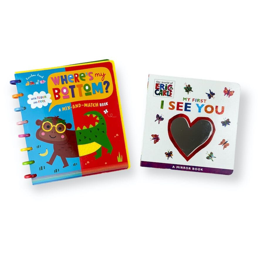 Interactive Board Book Bundle Books