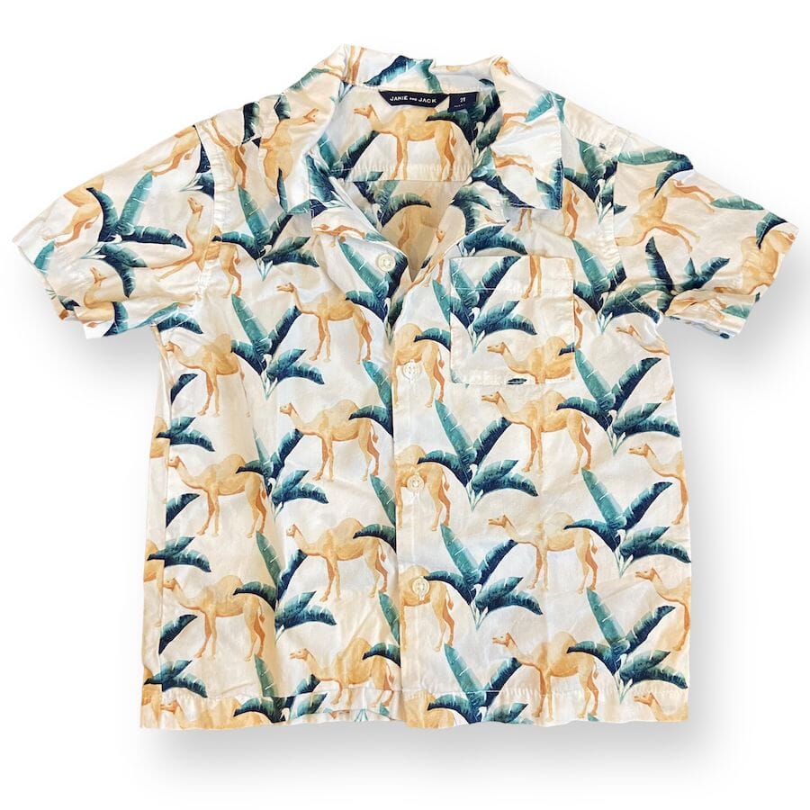 Janie and Jack Shirt 2T Clothing