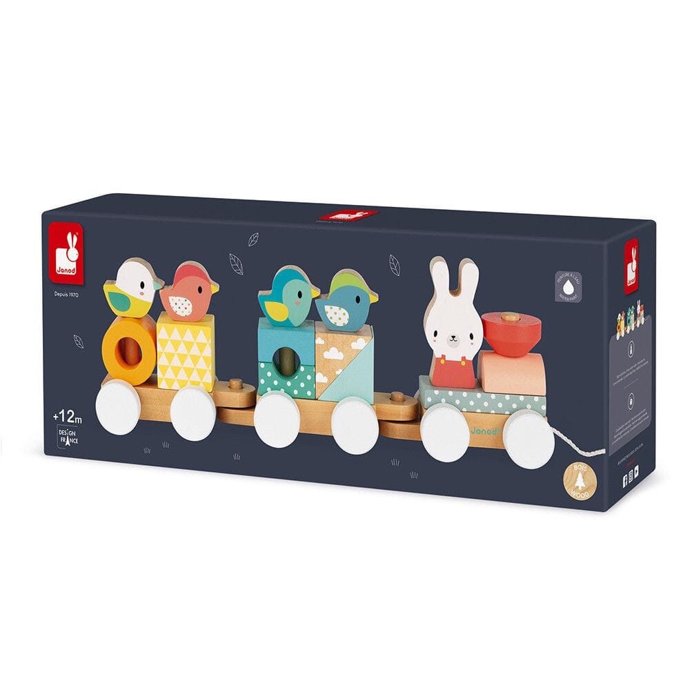 Janod Pure Train Toys