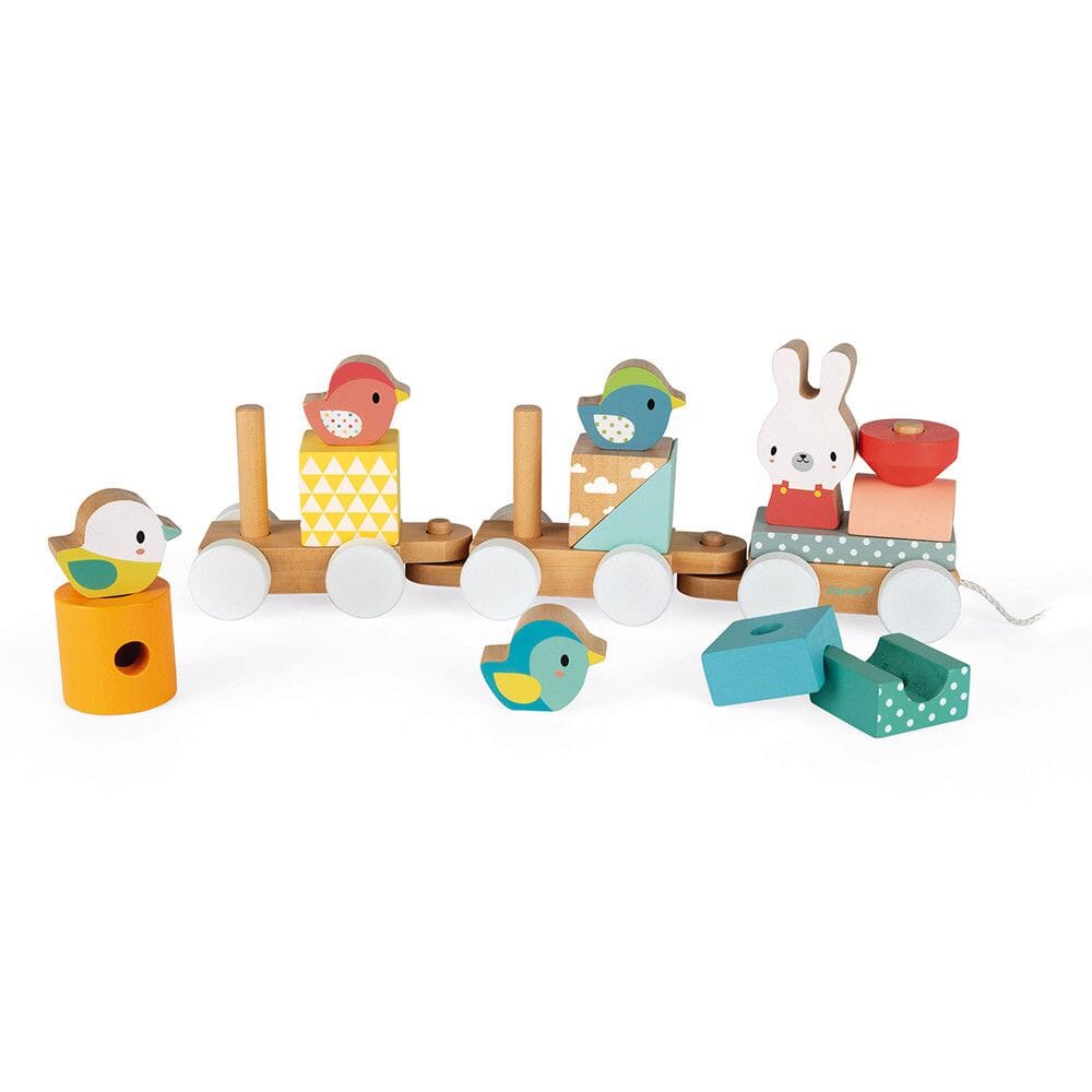 Janod Pure Train Toys