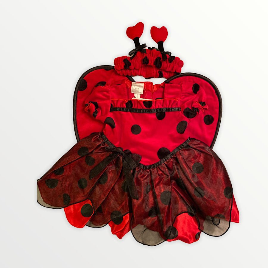 TOYCYCLE - Koala Kids Ladybug Costume 3 - 6M