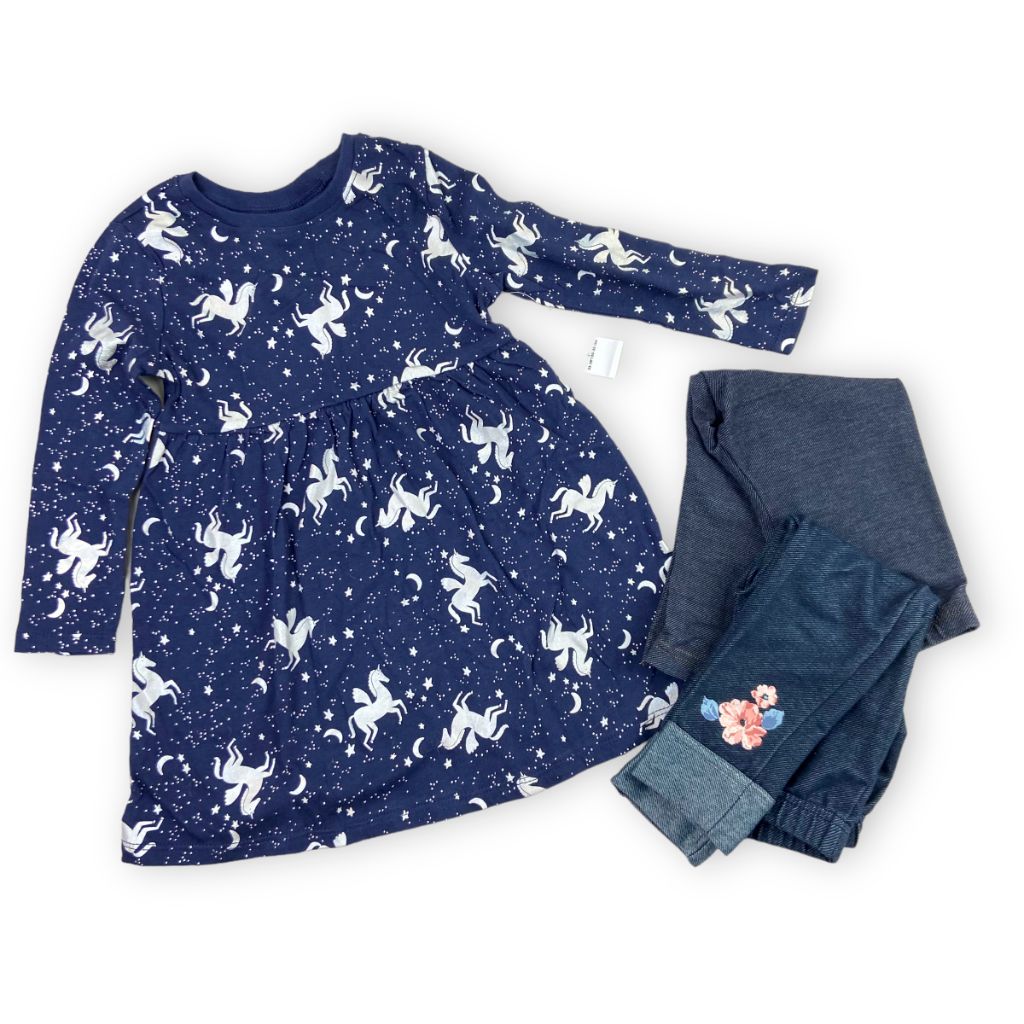 Pegasus Dress Bundle with Jeggings 2T Clothing