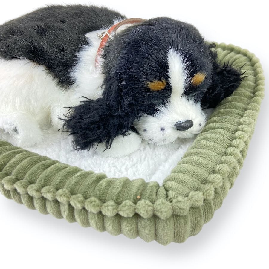 Perfect Petzzz - Perfect Petzzz Cocker Spaniel with Bed