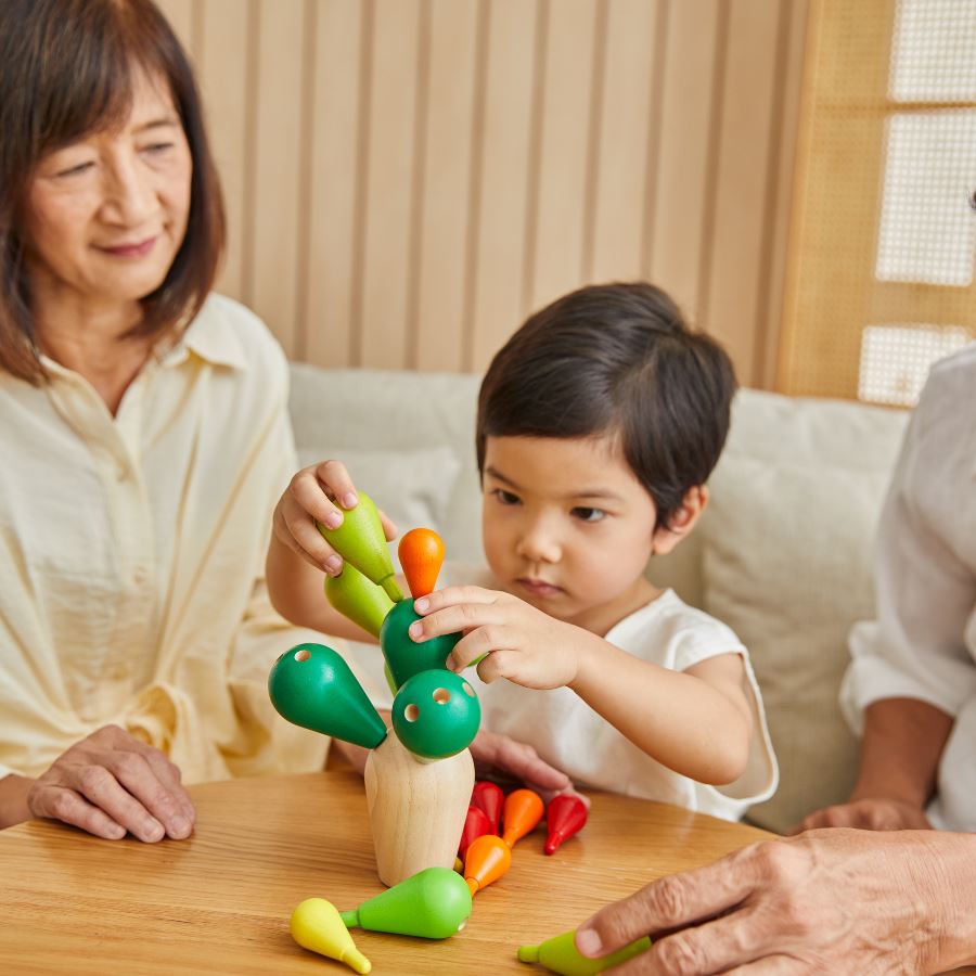 PlanToys Balancing Cactus Activity Toys