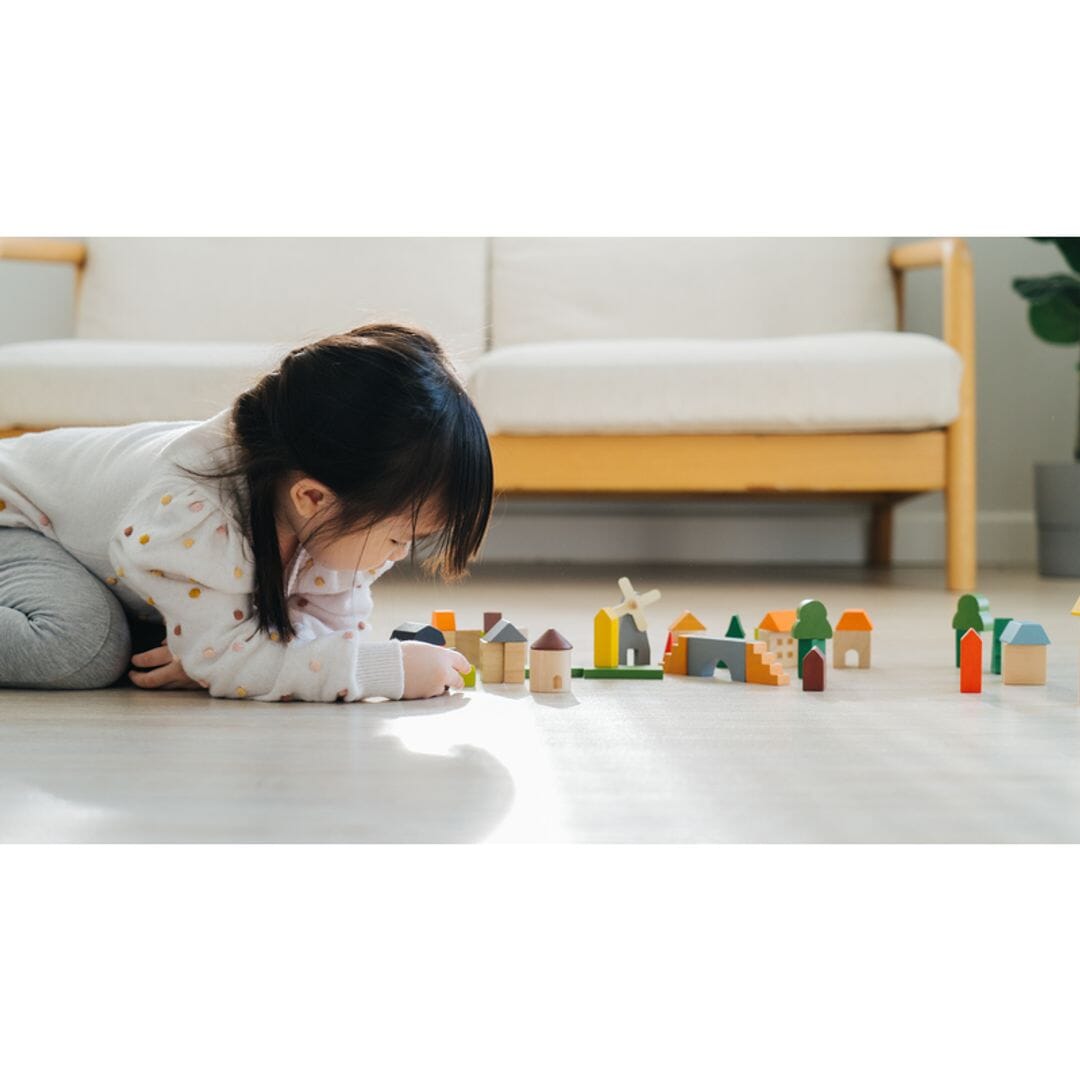 PlanToys - PlanToys Countryside Blocks - Open Box