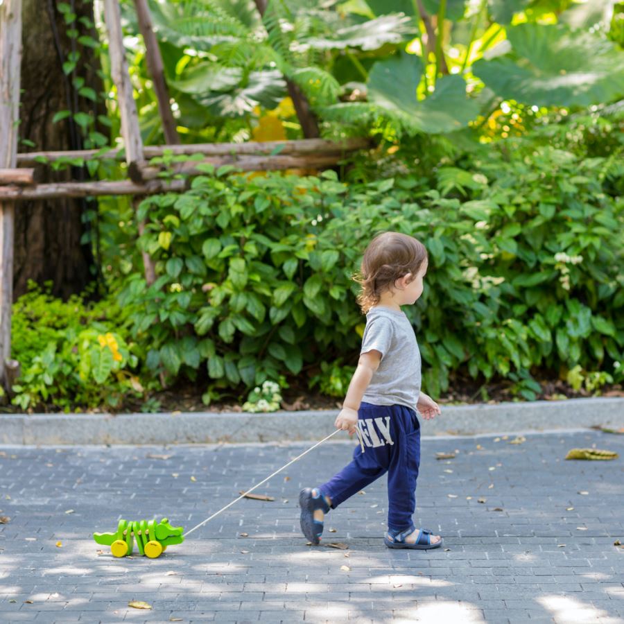 PlanToys Dancing Alligator Toys