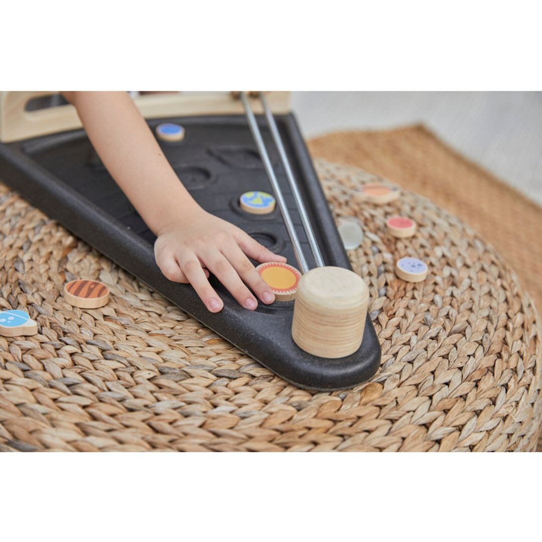 PlanToys Land The Planet Toys & Games