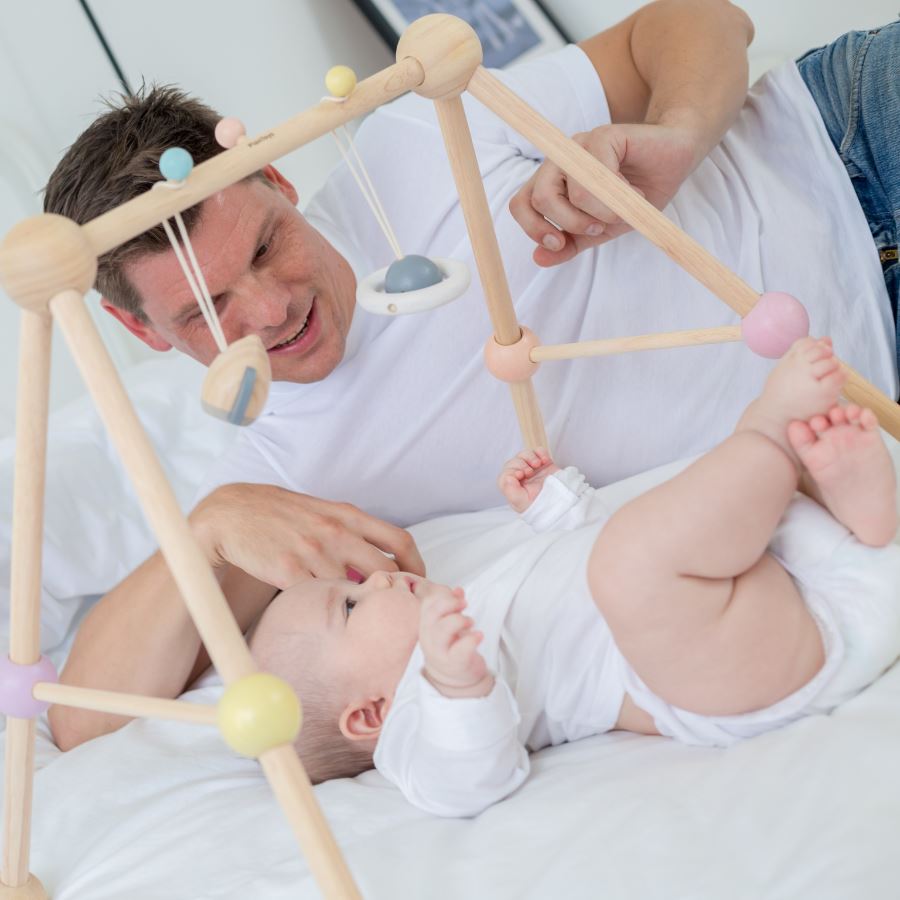 PlanToys Play Gym - Open Box Toys