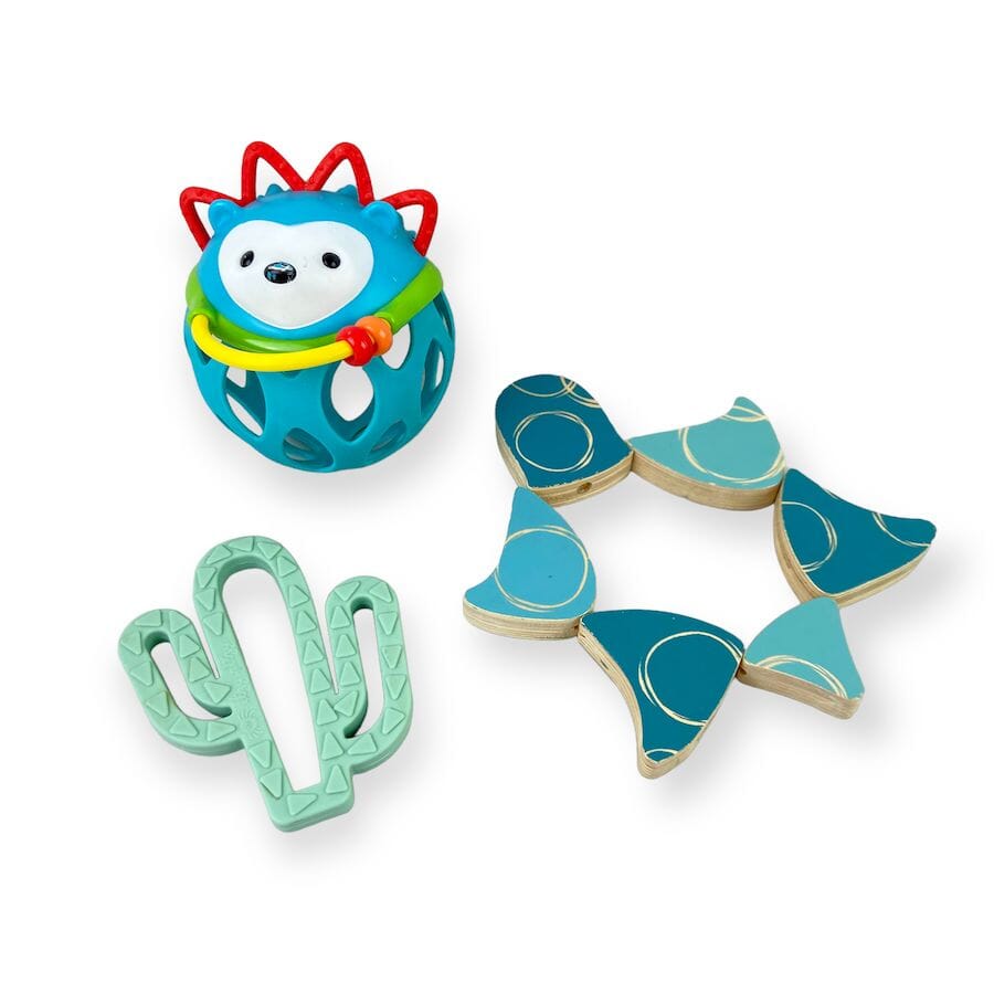 Skip Hop Toy Bundle with Hedgehog Toys