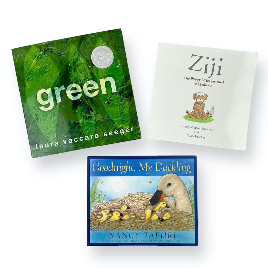 Storybook Bundle Books