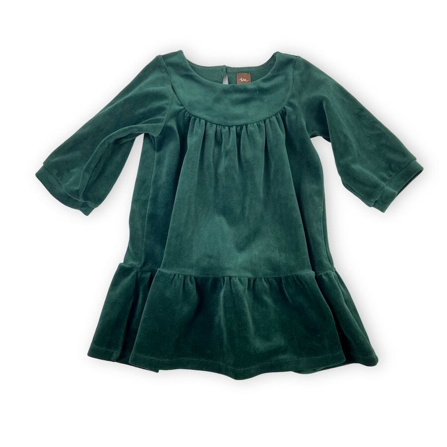 Tea Collection Velour Dress in Forest Green Clothing