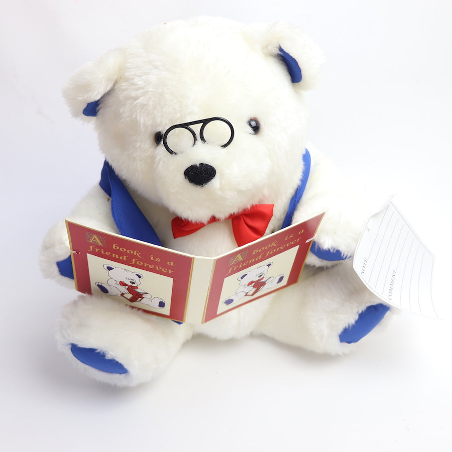 Teddy Bear Reader Stuffie