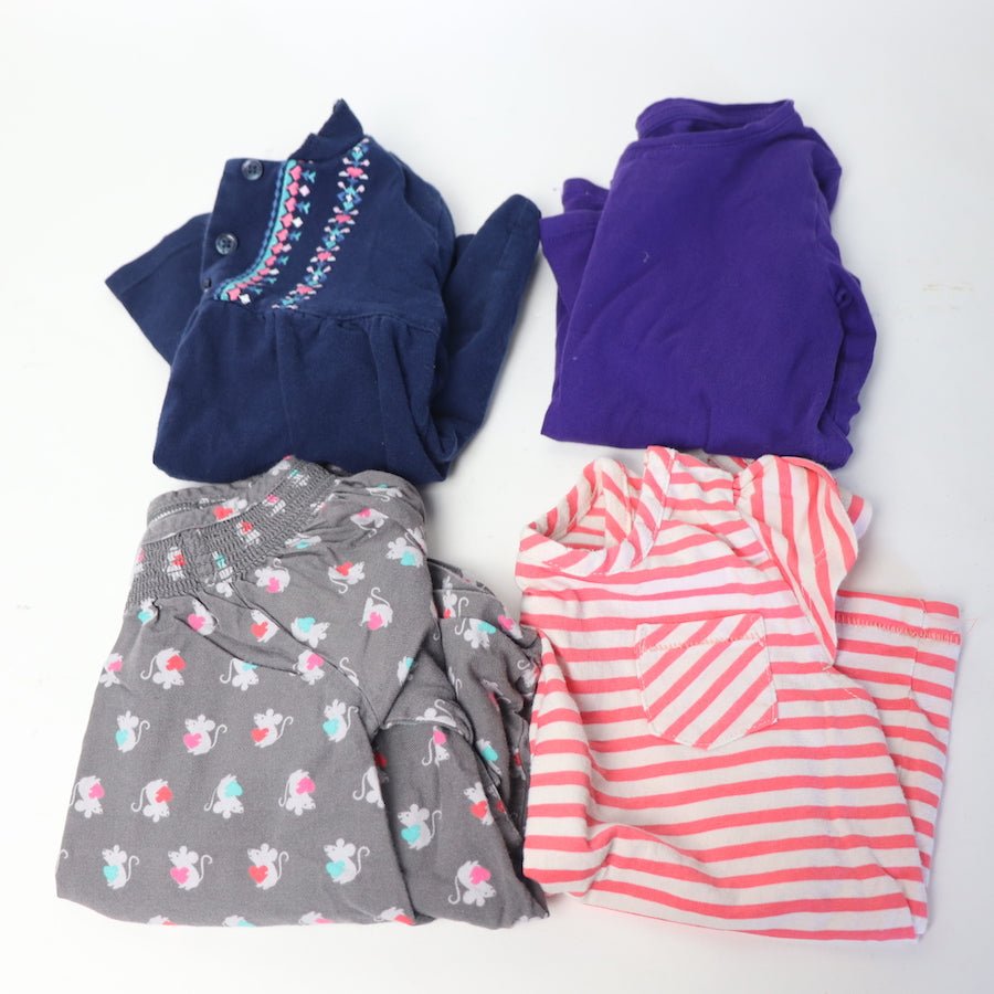 TOYCYCLE - Toddler Shirt Bundle 2T