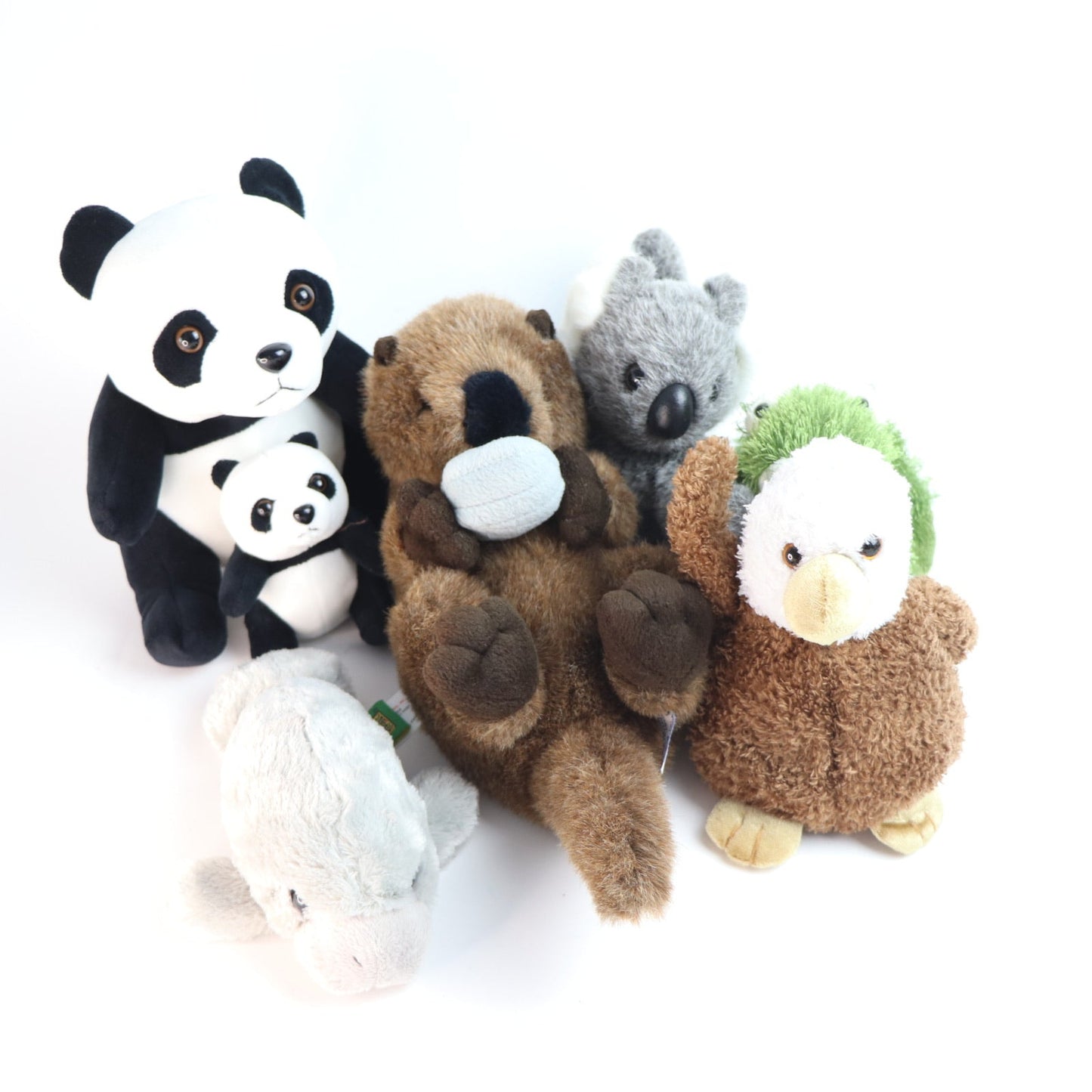 Wildlife Learn and Play Plush Bundle