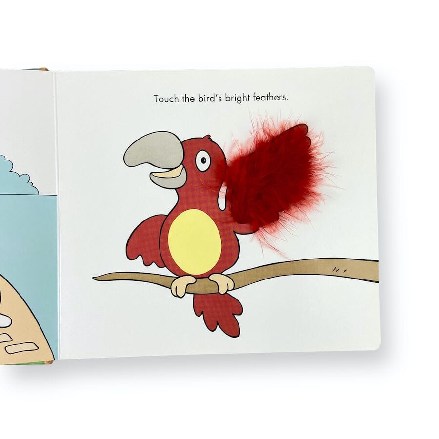 Zoo-themed Book Set Books
