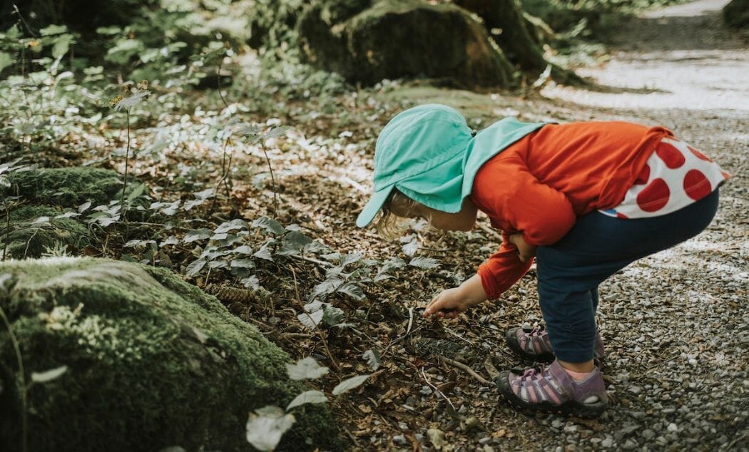 Little girl explores woods in Important Tips When Camping With a Toddler