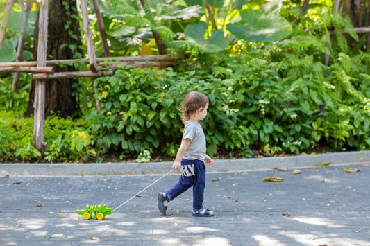 Why Pull-Along Toys Are Great For Baby - TOYCYCLE