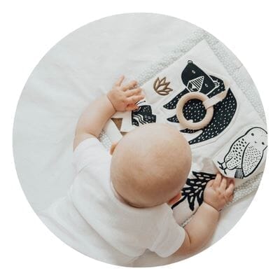 Developmental Toys for Infants