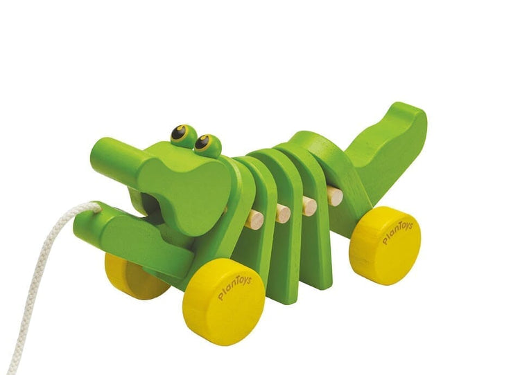 PUSH TOYS & PULL TOYS