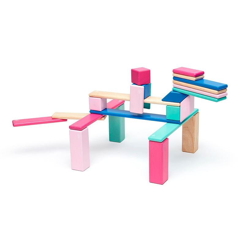 Tegu magnetic blocks 24 piece online